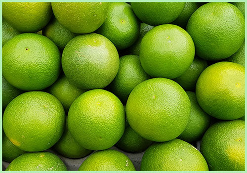 Sweet Lime / Mausambi (Price per Kg)