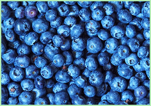 Blueberries (Price per 125 gms)