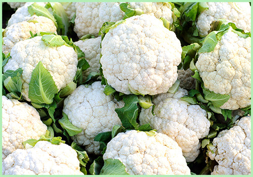 Cauliflower (Price per Pc/Approx. 700gms to 900gms)