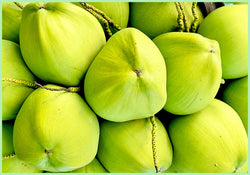 Peeled Coconut Water (Price per Pc)