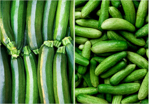The Exotic Special: Zucchini 250GM & Cucumber 250GM