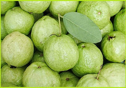 Guava Fruit Small (Price per 500gms)