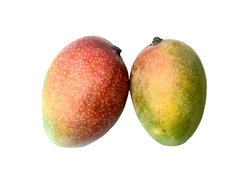 Mango Sindhuri (Price per Kg)
