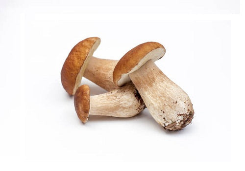 Mushroom Ceps (Price per Approx. 200gms)