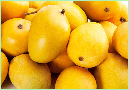 Mango Safeda (Price per Kg)