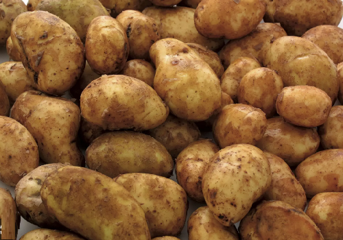 Potato New (Price per Kg)