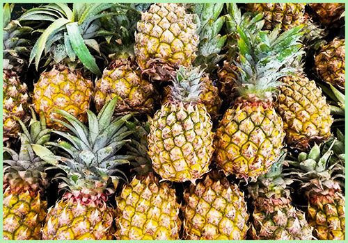 Pineapple Rani (Price per Pc/Approx. 900gms to 1.1kg)