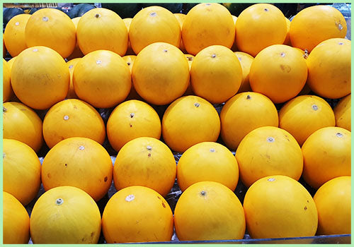 Sarda Melon (Price per Pc/Approx. 900gms to 1.1kg)