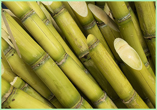 Sugarcane / Ganna  (Price per kg)