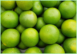 Sweet Lime / Mausambi (Price per Kg)