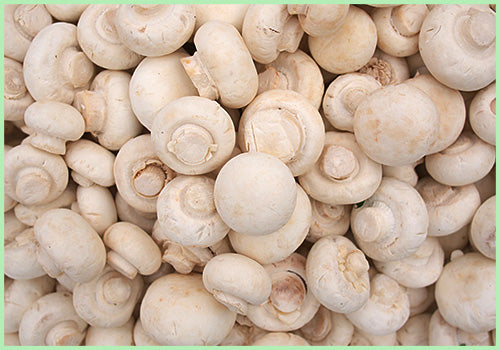 Mushroom (Price per Punnet of 200 gms)