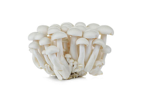Mushrooms Shimeji White (Price per Approx. 150gms)