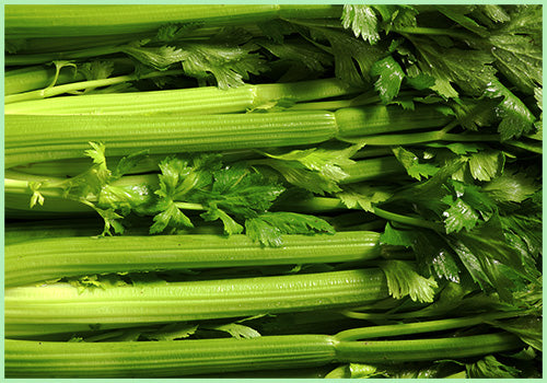 Celery (Price per Bunch/Approx. 300gms to 400gms)