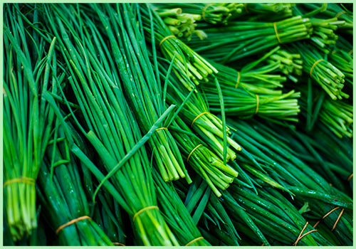 Chives Herbs (Price per 250gms)