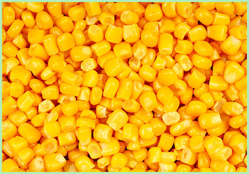 Corn Kernels (Pack of 200  gms)