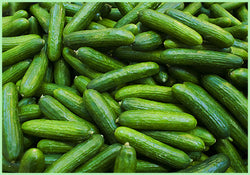 Cucumber Seedless (Price per 250 gms)
