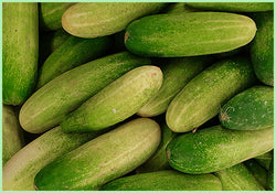 Cucumber Desi (Price per 500 gms)