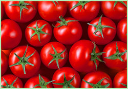 Tomato Desi (Price per Kg)