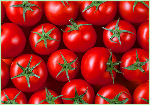 Tomato Desi (Price per Kg)