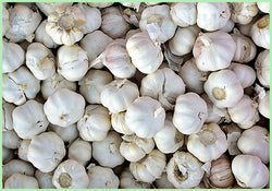 Garlic China (Price per 250 gms)