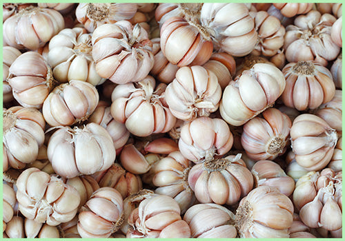 Garlic Medium (Price per 250 gms)