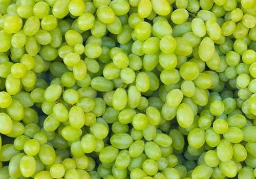 Grapes Green (Price per 500gms)