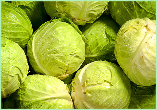 Cabbage Green (Price per Pcs/Approx. 500gms to 600gms)