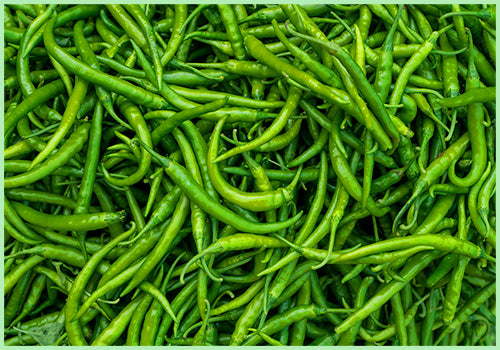 Chilli Green (Price per 100 gms)