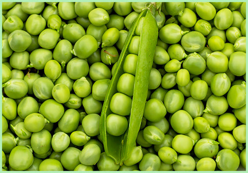 Fresh Peas / Matar (Price per 500 gms)