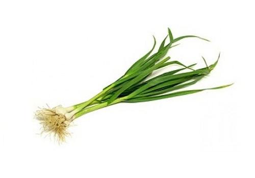 Garlic Green/Hara Lehsun (Price per 250gms) - Fast & Fresh Global LLP