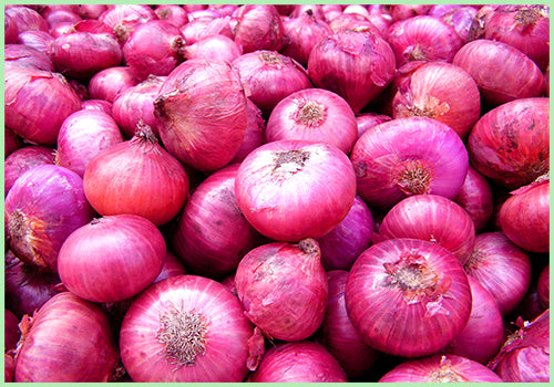 Onion (Price per Kg)