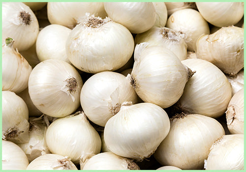 Onion White (Price per 500gms)