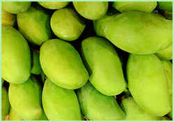 Mango Raw (Price per 500 gms)