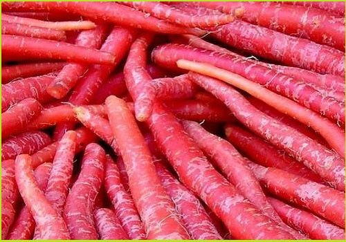 Carrot Red (Price per 500 gms)