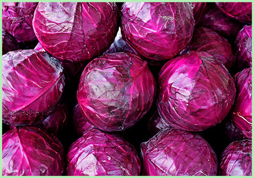 Cabbage Red (Price per Pc/Approx. 400gms to 500gms)