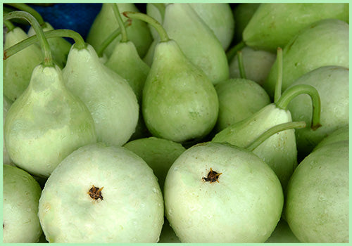 Round Lauki/Bottle gourd (Price per Pc Approx. 400gms to 500gms)