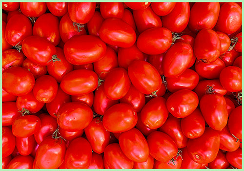 Tomato Hybrid (Price per kg)