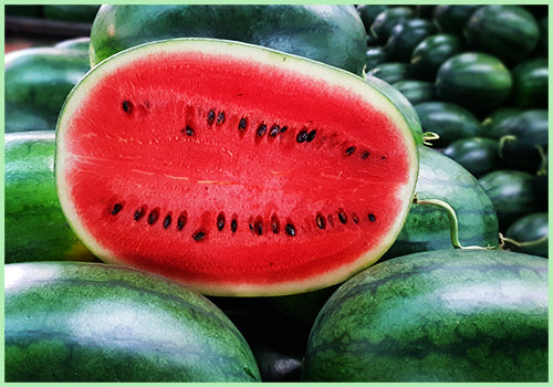Water Melon (Price per Pcs 2.5kg to 3kg)